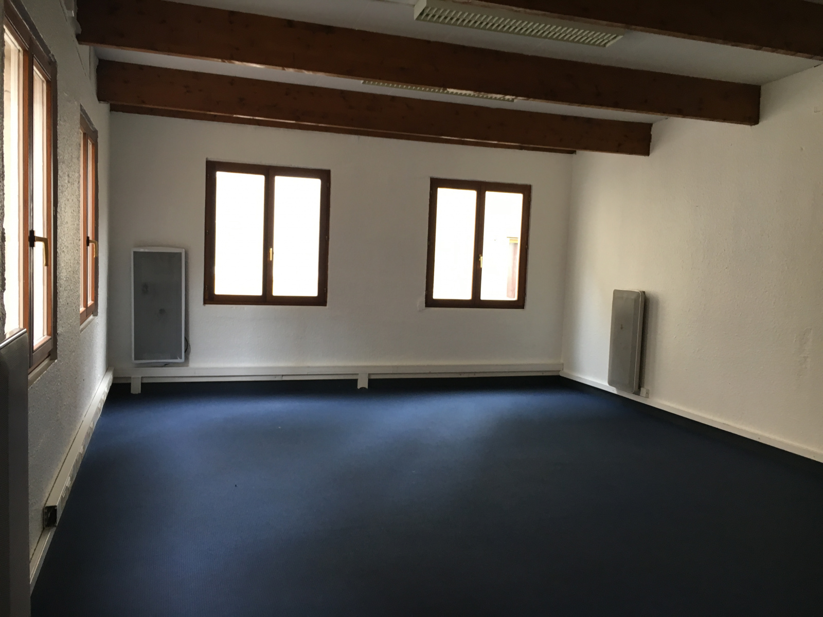 Image_, Local commercial, Metz, ref :1469